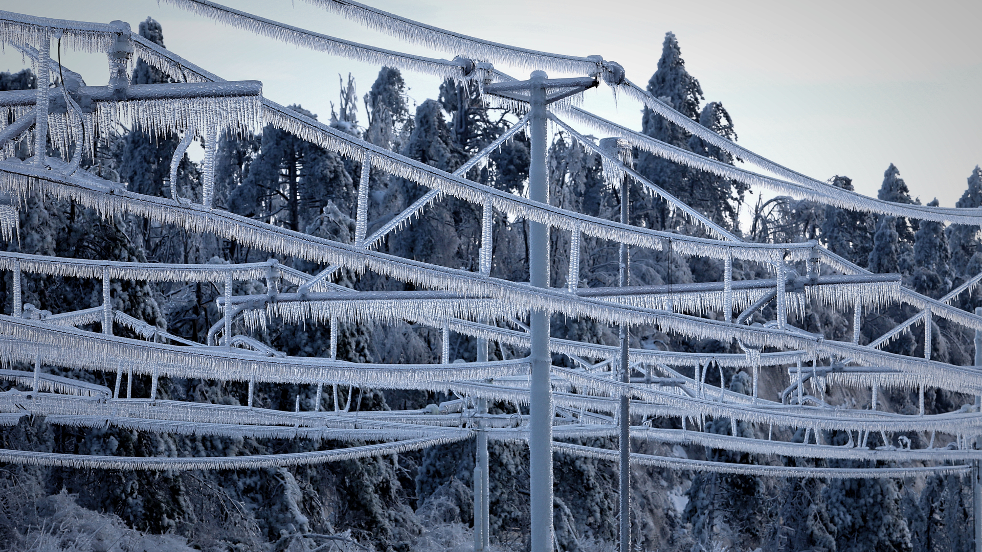 Getty Images 1445409341 649352c847518