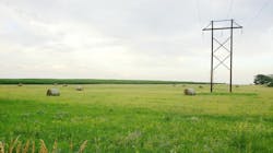 Dreamstime M 155355362 6487832bcb904 Dreamstime M 155355362 6487832bcb904