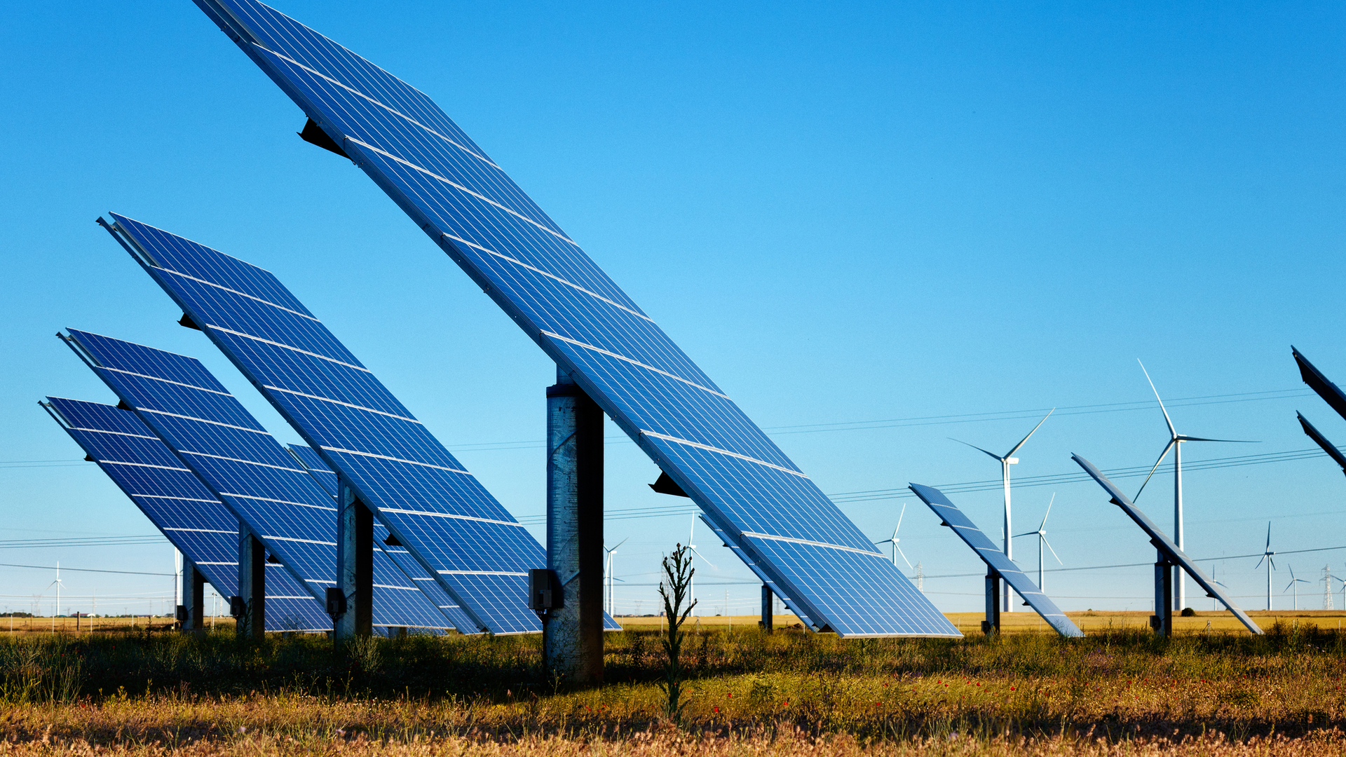 Dreamstime M 32615167 649b353b15f96