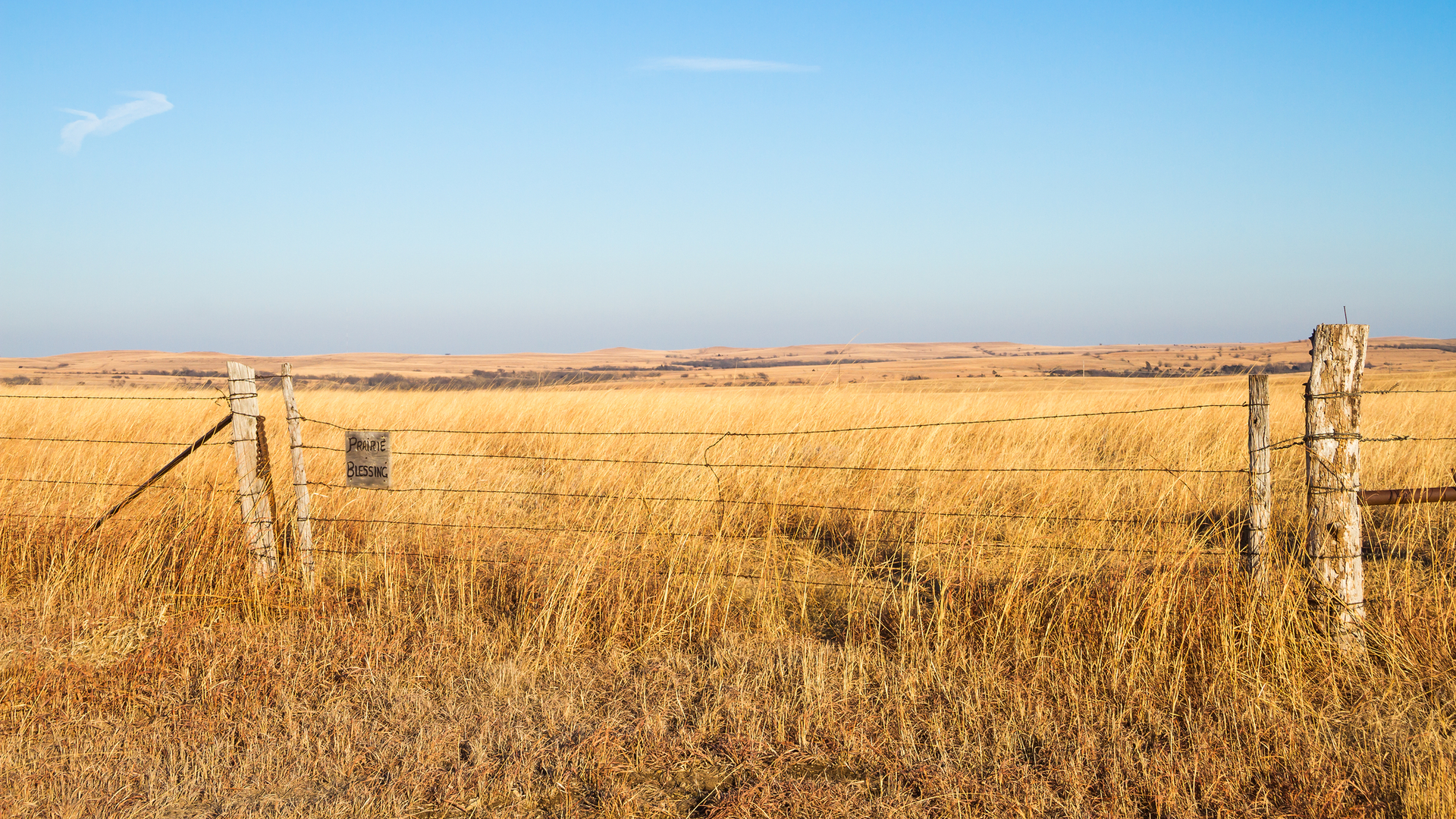 Dreamstime M 50357464 6479f708de308