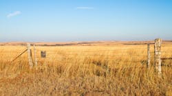 Dreamstime M 50357464 6479f708de308 Dreamstime M 50357464 6479f708de308