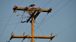 Pse1 647a502848da4 Pse1 647a502848da4