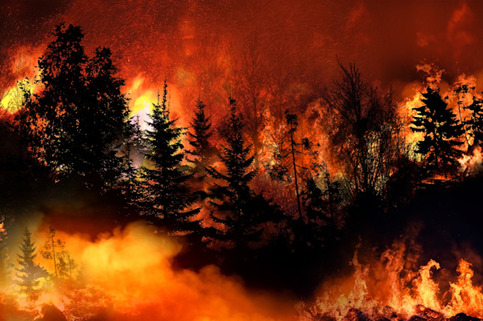 https://img.tdworld.com/files/base/ebm/tdworld/image/2023/06/20230604_Wildfire_Prevention.647e7d9d7cf1e.png?auto=format%2Ccompress&w=320