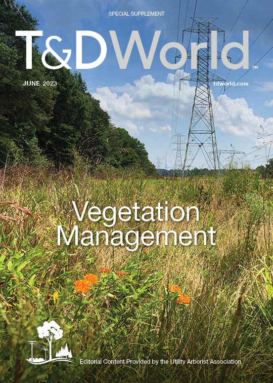 June 2023 VM Supplement cover image