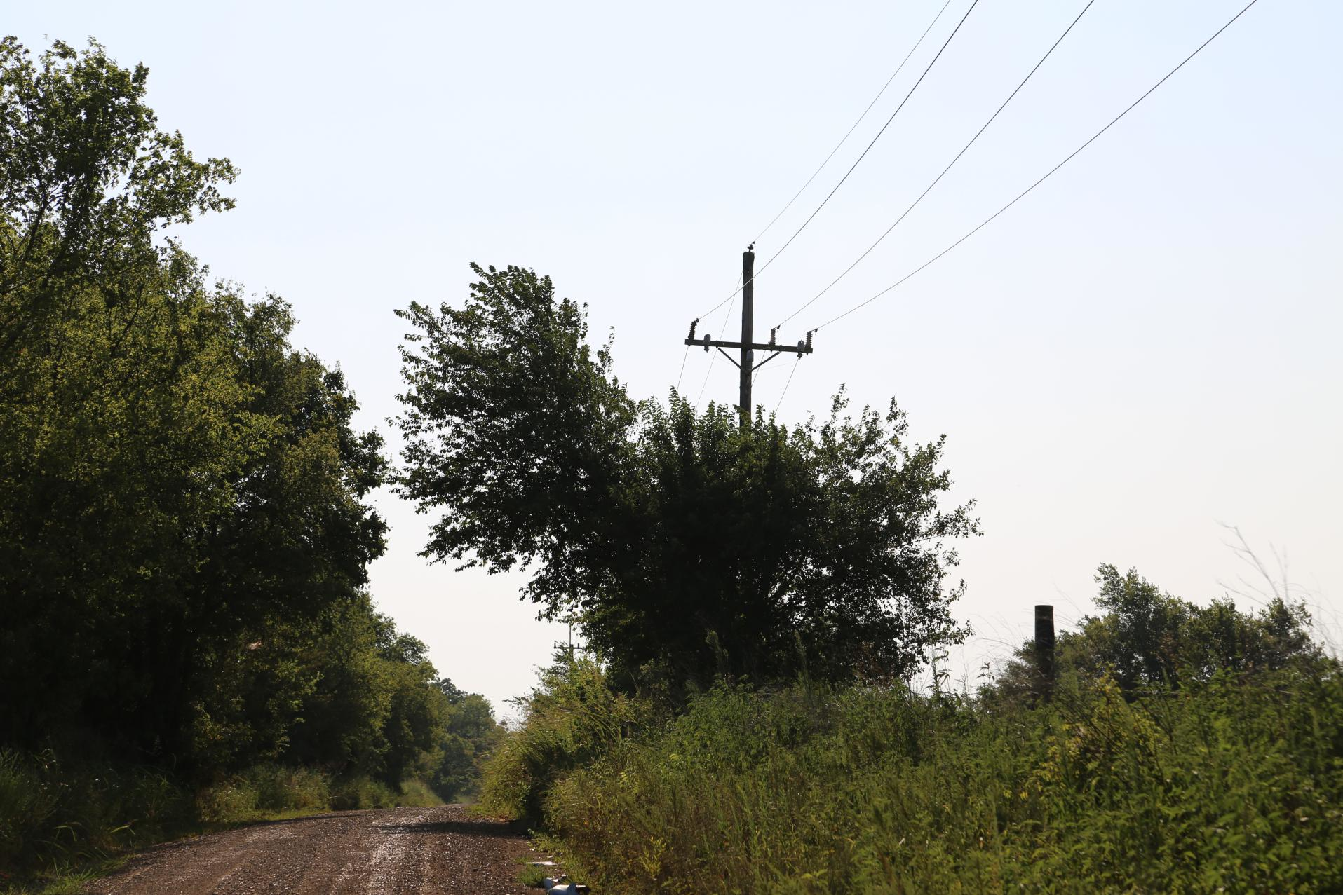 Cm1 0183 649ae755638ff