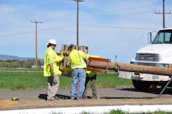To mitigate bird nesting hazards, crews install dual crossarms and platforms on poles for future nesting. To mitigate bird nesting hazards, crews install dual crossarms and platforms on poles for future nesting.