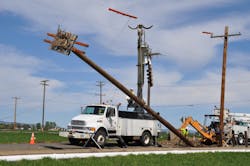 Poles equipped with nesting platforms are recorded, mapped in GIS, and monitored periodically. Poles equipped with nesting platforms are recorded, mapped in GIS, and monitored periodically.