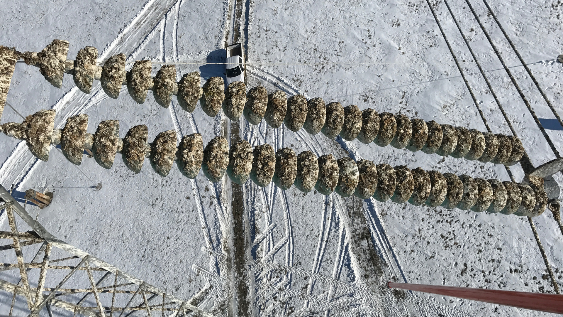 500kV insulators heavily contaminated with bird droppings and pellets.