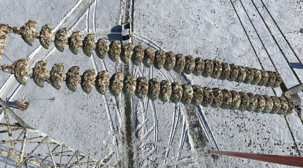 500kV insulators heavily contaminated with bird droppings and pellets.