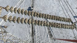 500kV insulators heavily contaminated with bird droppings and pellets. 500kV insulators heavily contaminated with bird droppings and pellets.