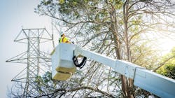 New High Res Print Vegetation Mgmt Transmission 3821 64ab4e9258e2b New High Res Print Vegetation Mgmt Transmission 3821 64ab4e9258e2b
