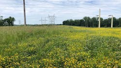 Tm Pollinator Habitat 64b54f5587d49 Tm Pollinator Habitat 64b54f5587d49