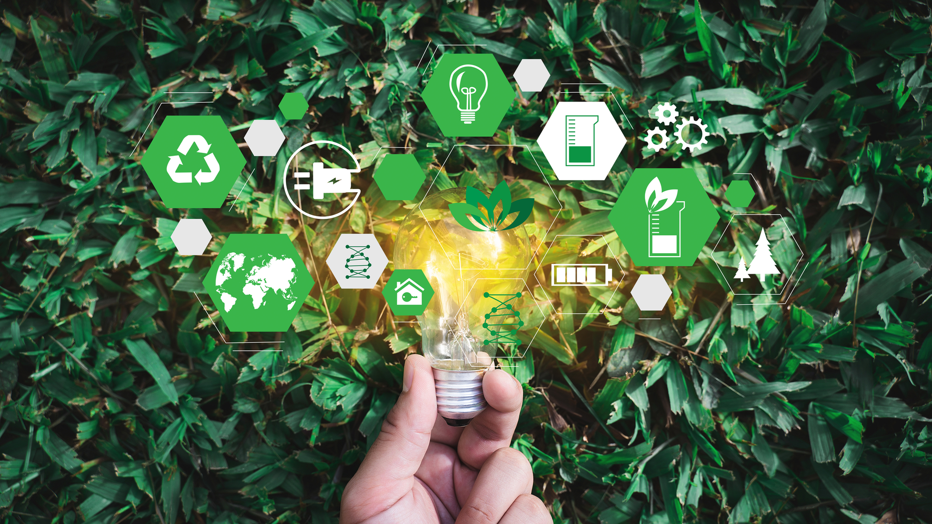 Dreamstime M 120464617 64c4092683de4