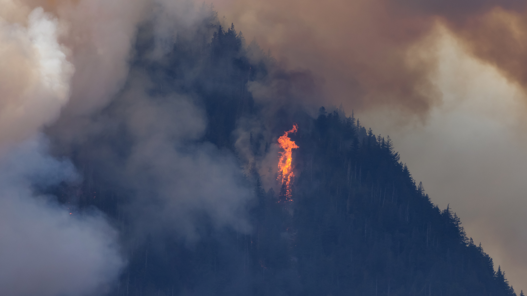 Dreamstime M 256712090 64bff4ce87406