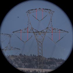 Protecting approximately one half of each insulator string with perch deterrents. Protecting approximately one half of each insulator string with perch deterrents.