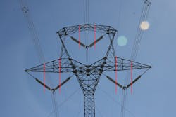 Protecting approximately one half of each insulator string with perch deterrents. Protecting approximately one half of each insulator string with perch deterrents.