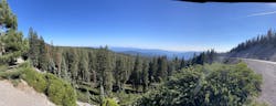This forest surrounds the outskirts of Mount Shasta, California. This forest surrounds the outskirts of Mount Shasta, California.