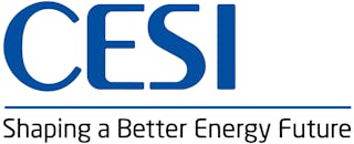 Logo Cesi (payoff)