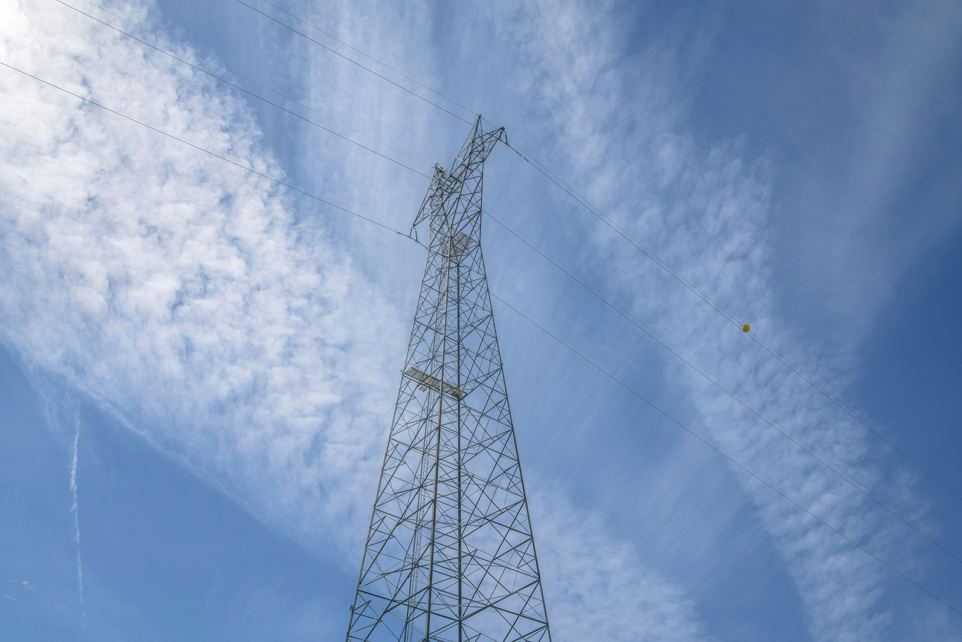 Dreamstime L 259552821 64b18116d8d47