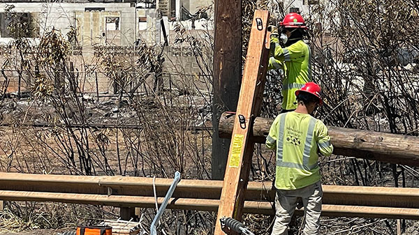 20230821 Windstorm Response 13 64e6334d5dc6a