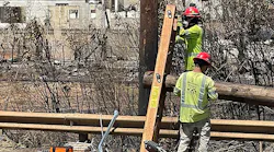 20230821 Windstorm Response 13