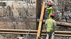 20230821 Windstorm Response 13 64e6334d5dc6a 20230821 Windstorm Response 13 64e6334d5dc6a