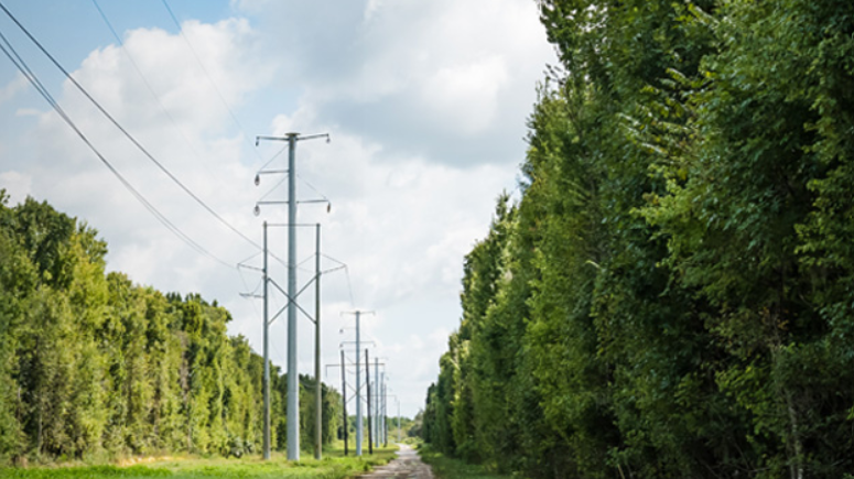 Duk Wires 1 64d2ced4b8eda