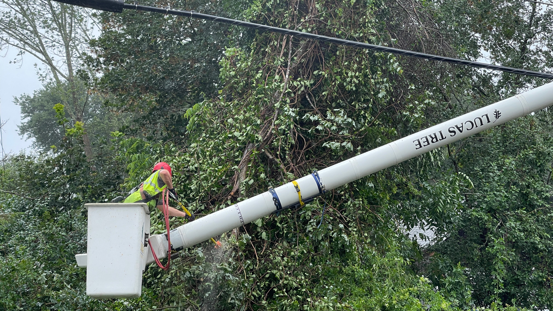 F3q Dr Exaaa Ij9 64e4ecb06278c