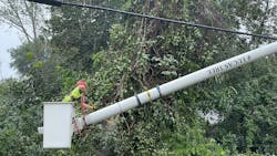 F3q Dr Exaaa Ij9 64e4ecb06278c F3q Dr Exaaa Ij9 64e4ecb06278c