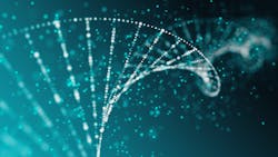 Getty Images 877873518 64daa79cb5b2e Getty Images 877873518 64daa79cb5b2e