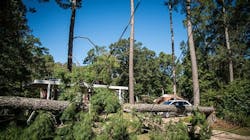 Med Res Storm Damage Dsc4271 Mid 64d5425734486 Med Res Storm Damage Dsc4271 Mid 64d5425734486