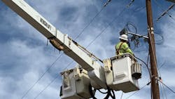 Pnw Line 64cbe241663c7 Pnw Line 64cbe241663c7