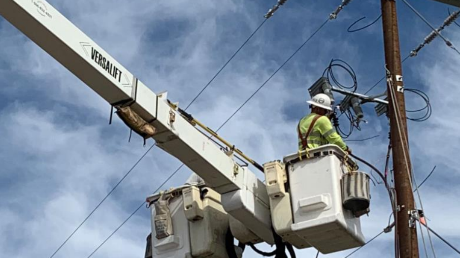 Pnw Line 64dfd47ecd311