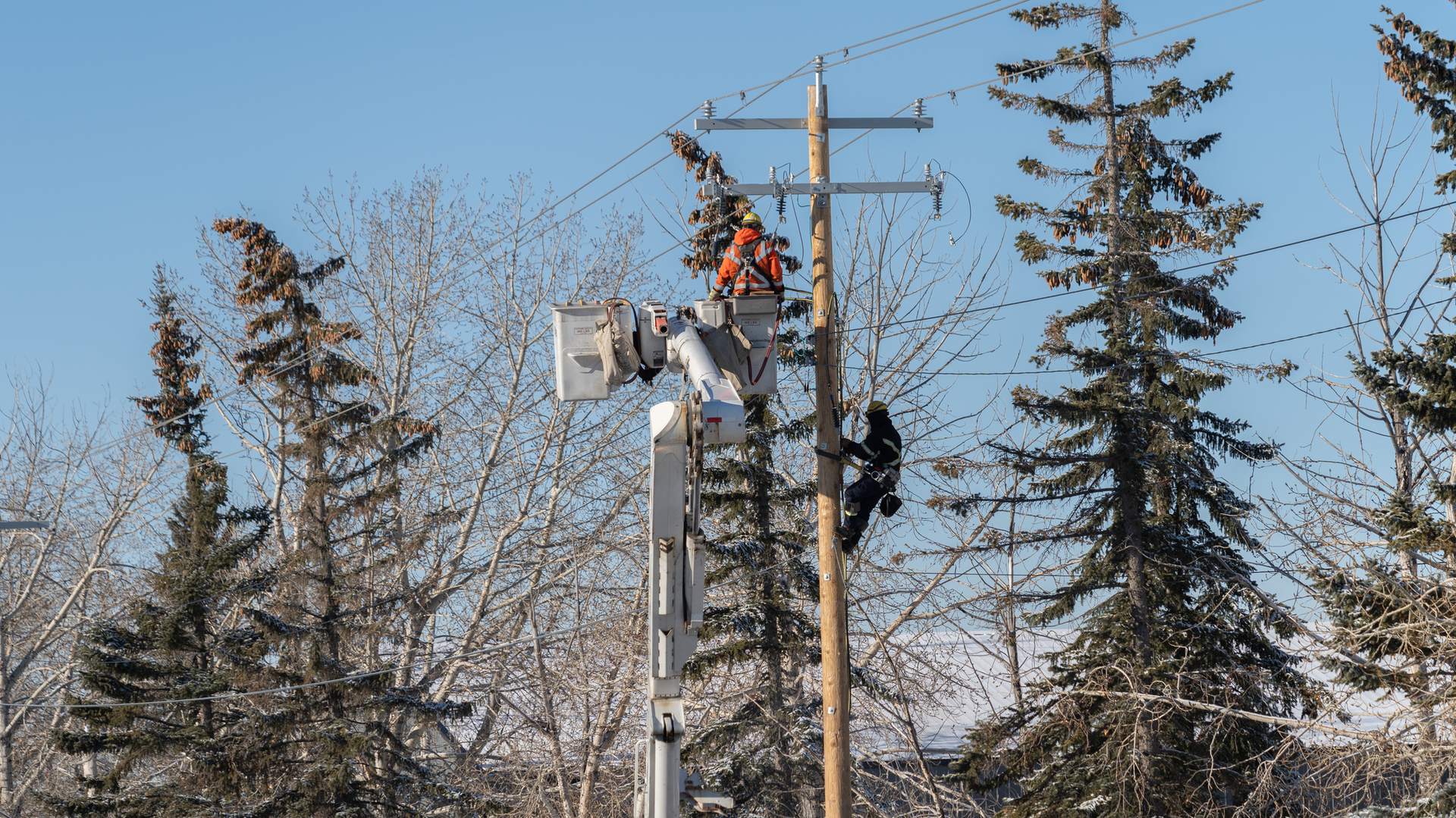 Dreamstime M 135269762 64d54dd6dbc53