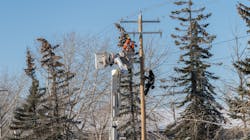 Dreamstime M 135269762 64d54dd6dbc53 Dreamstime M 135269762 64d54dd6dbc53