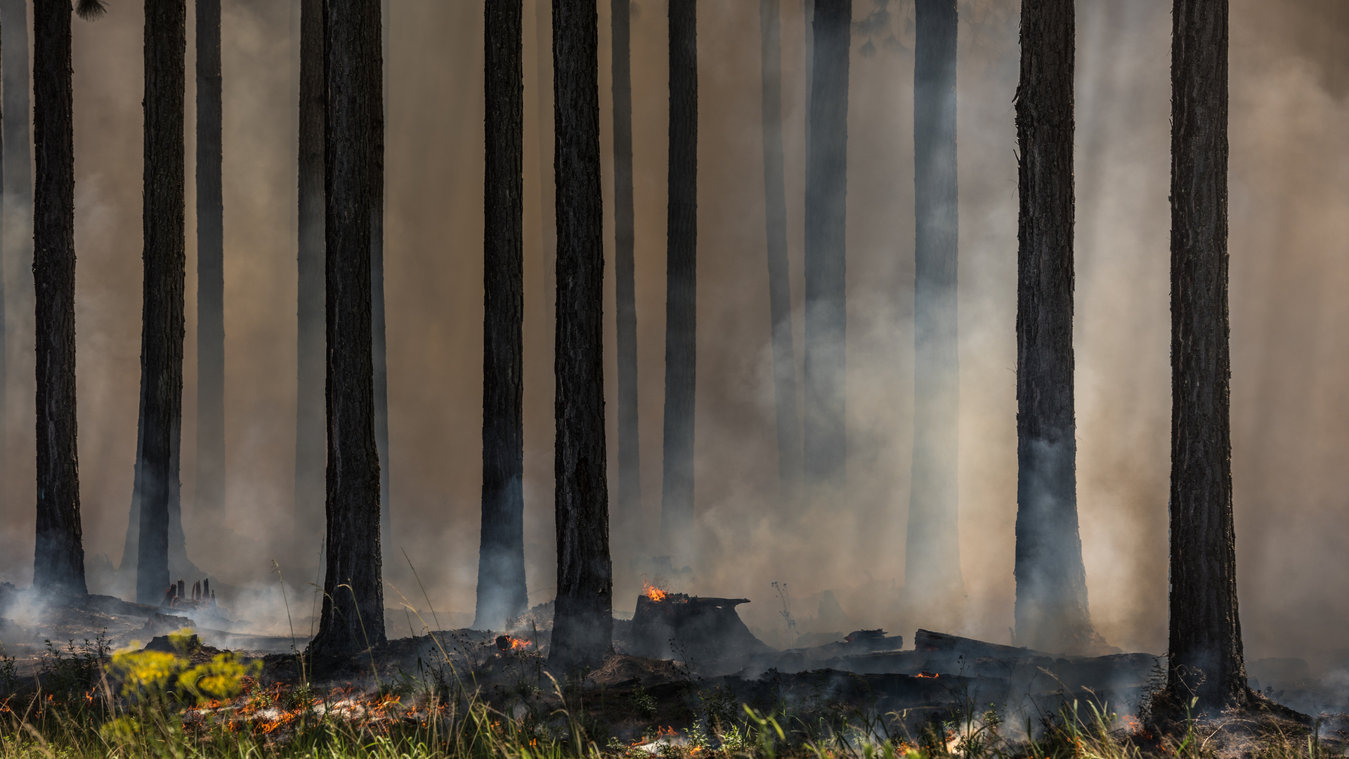 Dreamstime M 143110822 64d54b9284fee