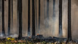 Dreamstime M 143110822 64d54b9284fee Dreamstime M 143110822 64d54b9284fee