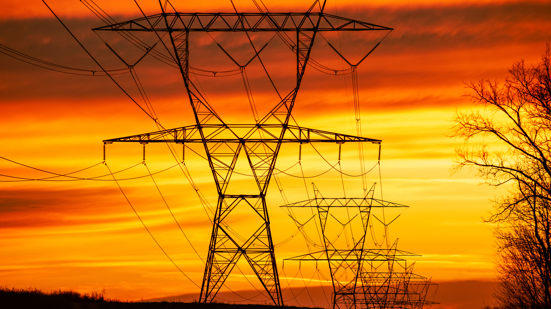 Dreamstime M 269055113 64ecbc10ec290