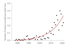 Exponential Growth of Ravens Exponential Growth of Ravens