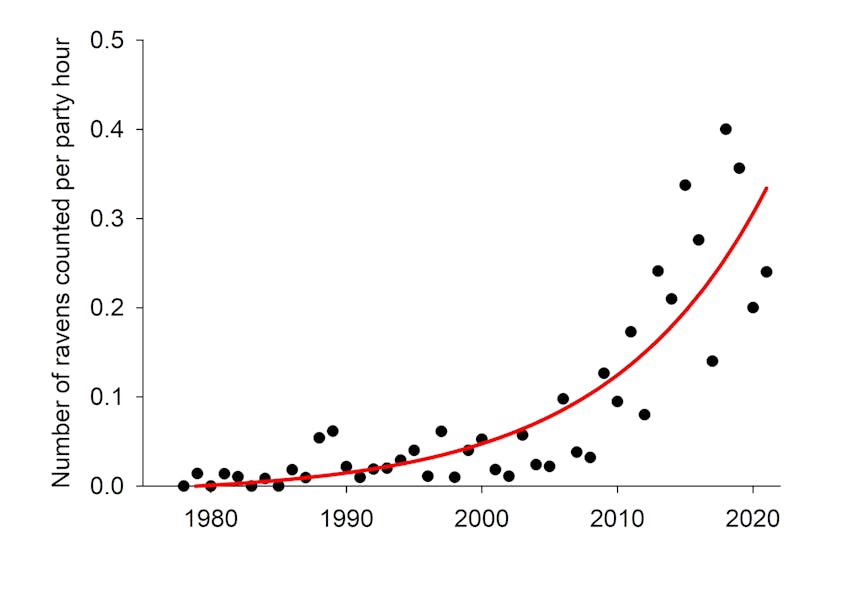 Exponential Growth of Ravens