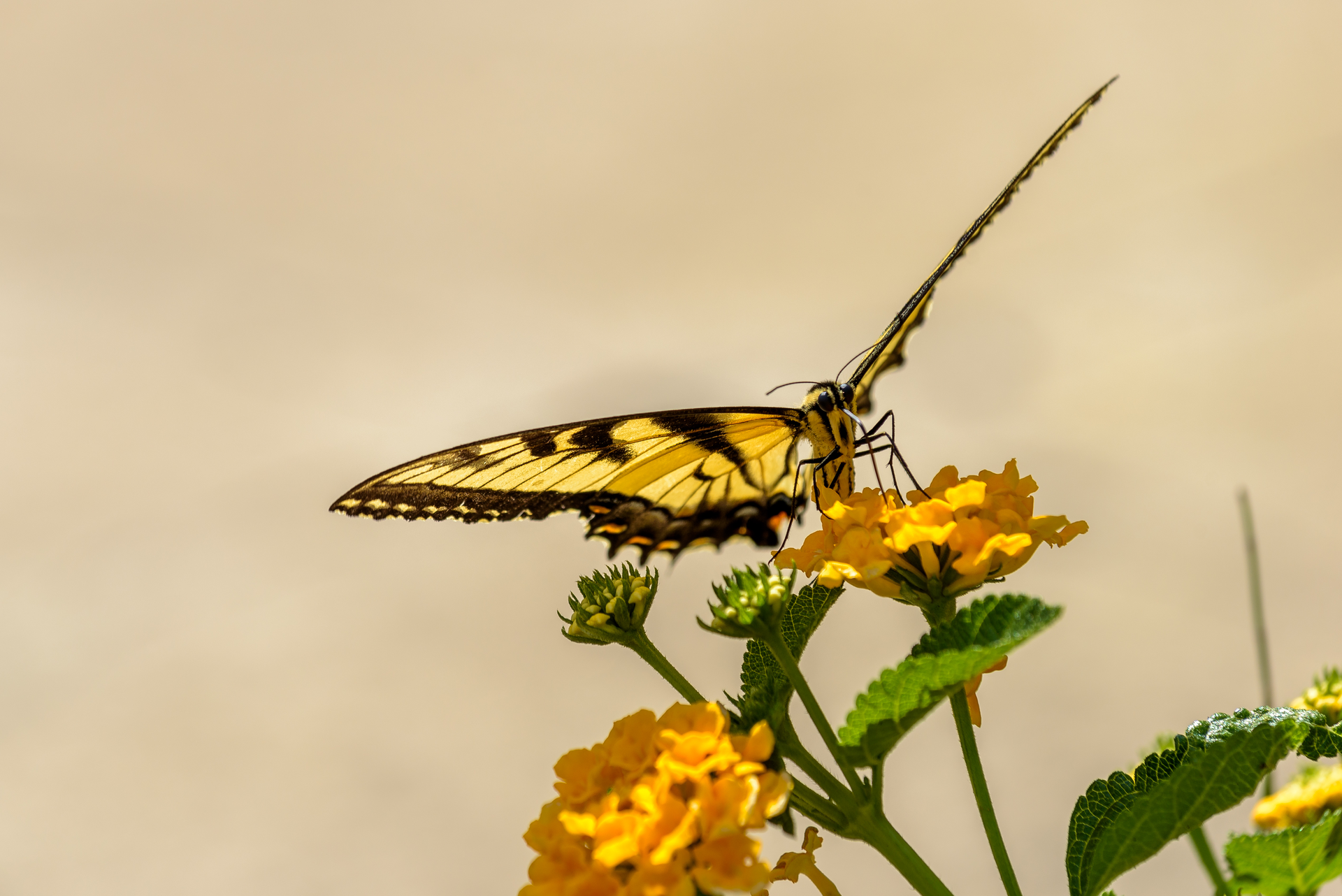 Corteva Br Aug2020 19 64d1577d513db