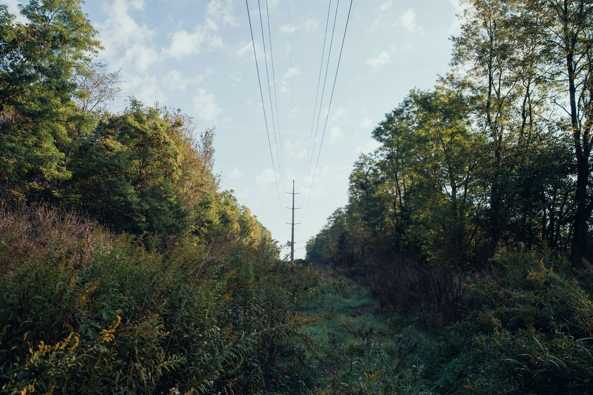 Dsc06243 64d2ab8899174