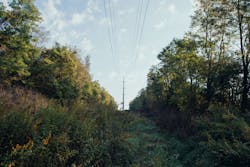 Dsc06243 64d2ab8899174 Dsc06243 64d2ab8899174