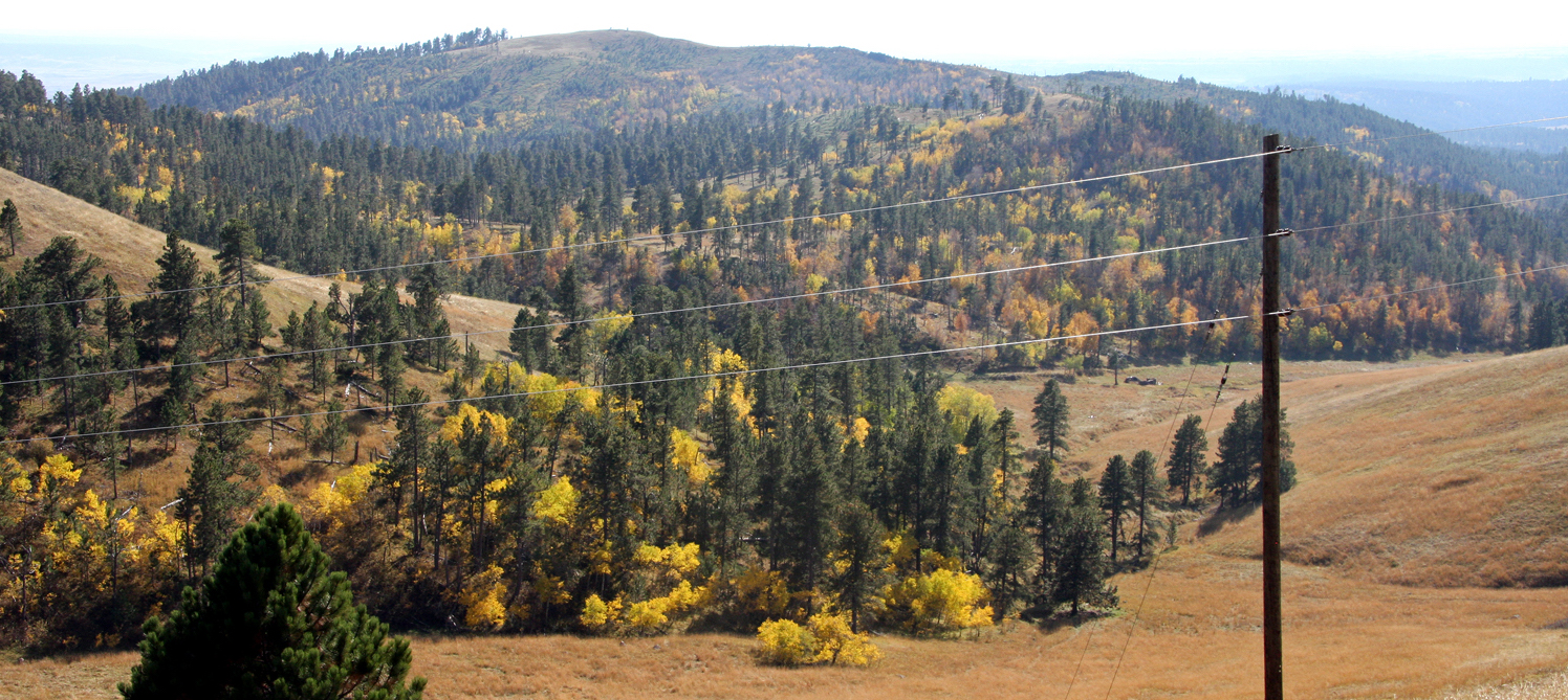 Overstory Powder River Energy Case Study T&D World