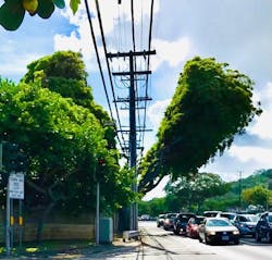 The aesthetic value of underground cannot be measured in beautiful Lahaina. The aesthetic value of underground cannot be measured in beautiful Lahaina.