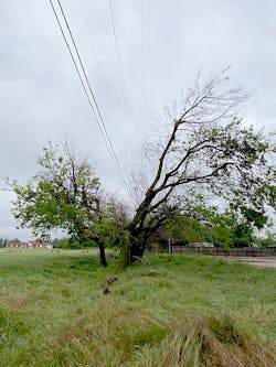 Low-volume spray trim applications in the wire zone allow OG&amp;E to control only portions of trees that pose a threat to impact overhead power lines. Photo courtesy of OG&amp;E.