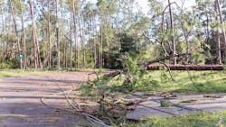 Idalia Highres2 52+1 Mid Idalia Highres2 52+1 Mid