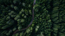 Adobe Stock 213607687 Resized 64f7714693606 Adobe Stock 213607687 Resized 64f7714693606