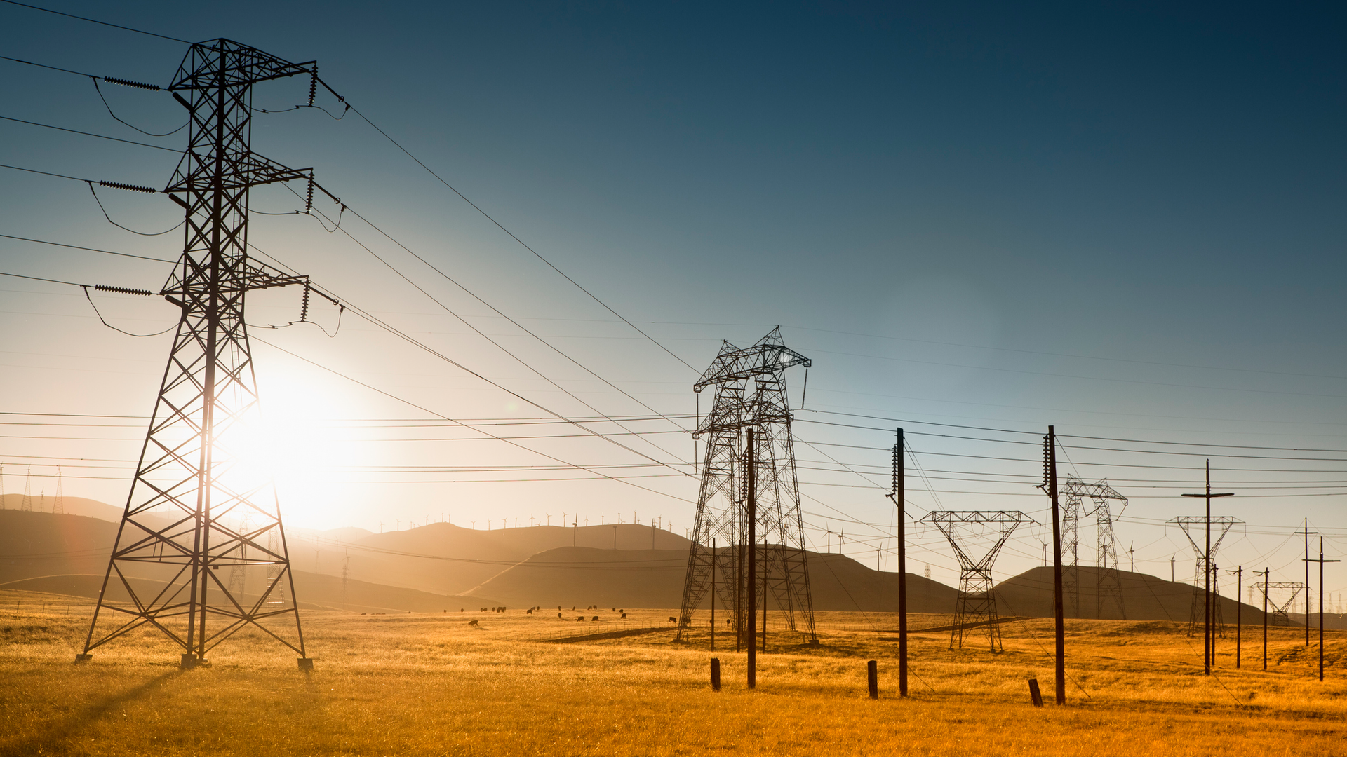 Getty Images 183423424 1 6501c947ac7d4