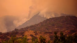 Dreamstime M 196034721 1 64f246109221f Dreamstime M 196034721 1 64f246109221f